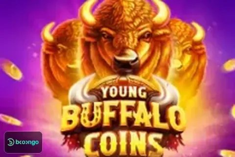 Young Buffalo Coins game cover